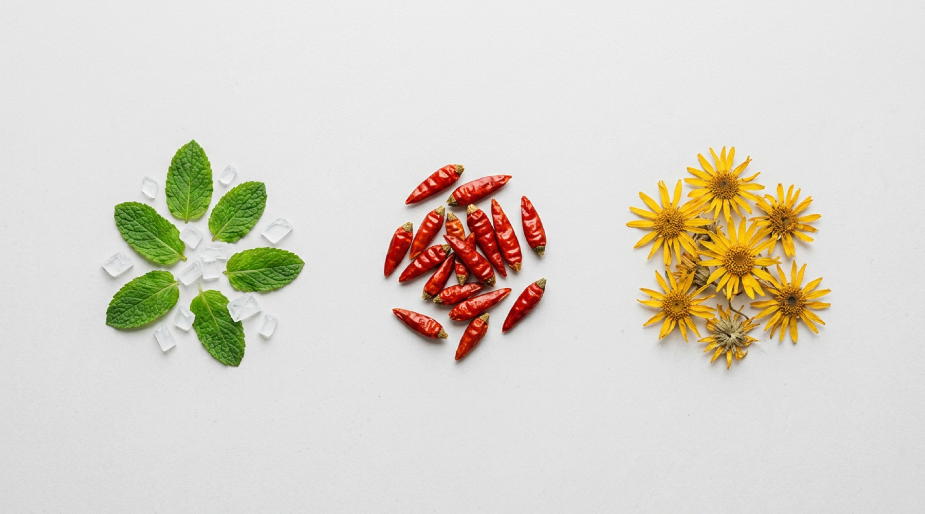 Mint leaves, chili peppers, and arnica flowers arranged in an ingredient flat lay